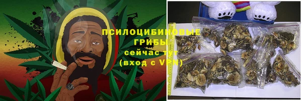 PSILOCYBIN Армянск