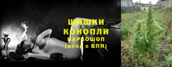PSILOCYBIN Армянск